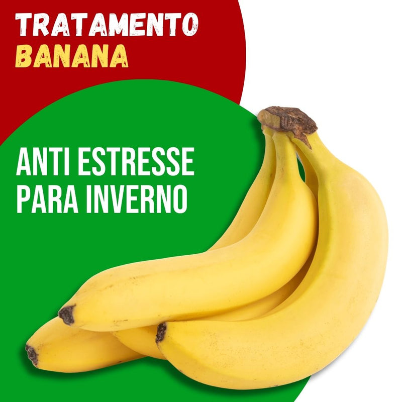Tratamento Para Banana: Anti Estresse Para Inverno