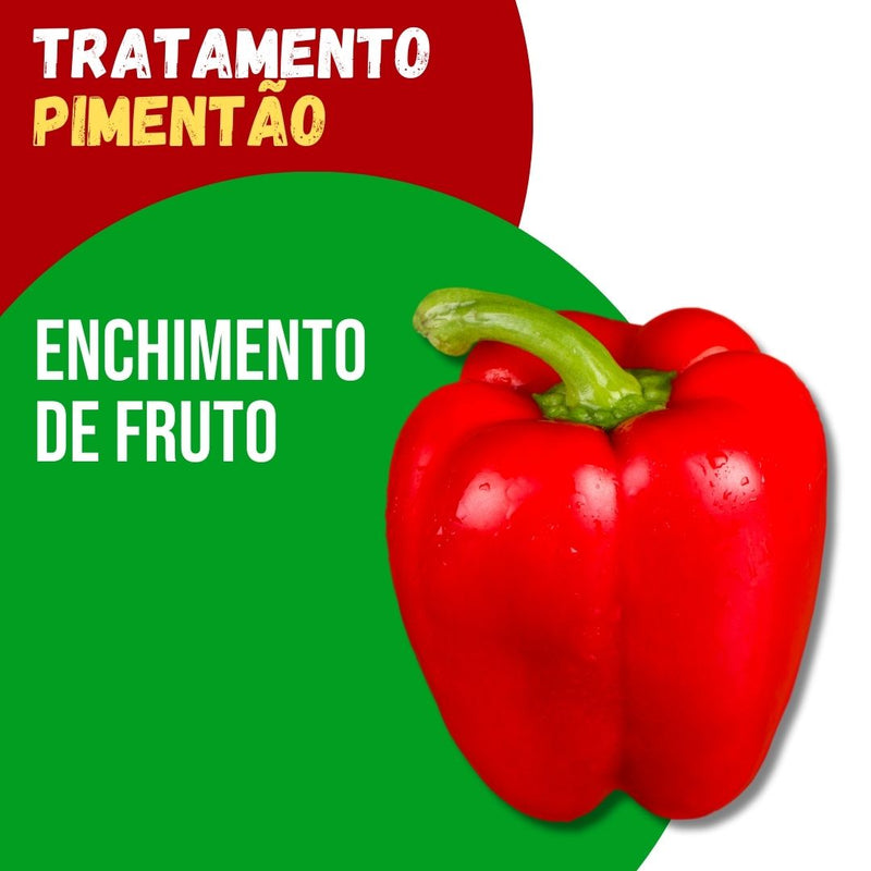 Tratamento Para Pimentão: Enchimento de Fruto