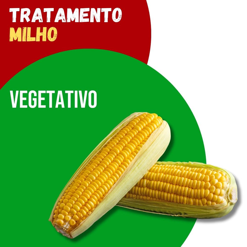 Tratamento Para Milho: Vegetativo