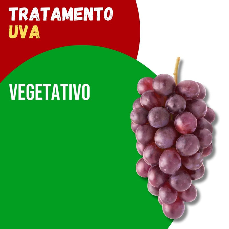 Tratamento Para Uva: Vegetativo