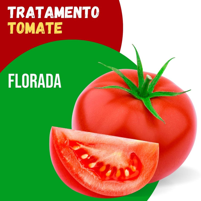 Tratamento Para Tomate: Florada