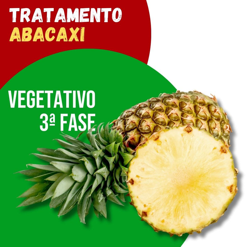 Tratamento Para Abacaxi: Vegetativo 3ª Fase