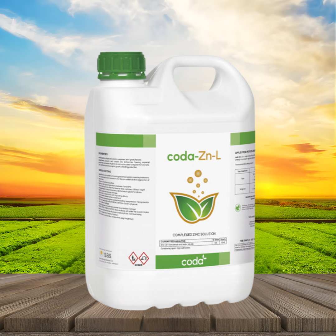 Coda ZN-L 05 LT