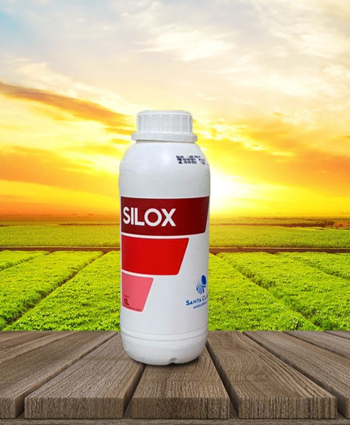 Silox 01 LT