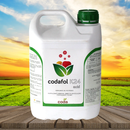 Codafol K24 05 LT