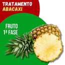 Tratamento Para Abacaxi: Fruto 1ª Fase