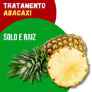 Tratamento Para Abacaxi: Solo e Raiz