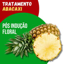 Tratamento Para Abacaxi: Pós Indução Floral