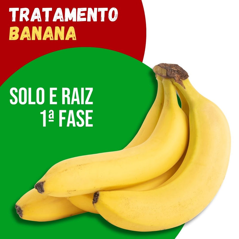 Tratamento Para Banana: Solo e Raiz 1ª Fase