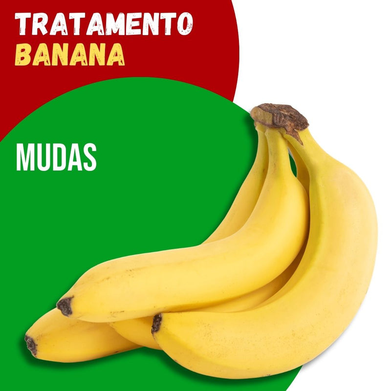 Tratamento para Bananas: Mudas