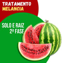 Tratamento Para Melancia: Solo e Raiz 2ª Fase