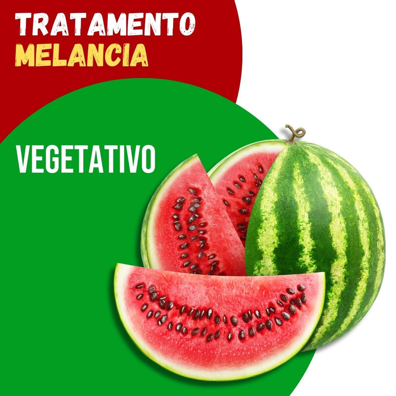 Tratamento para Melancia: Vegetativo