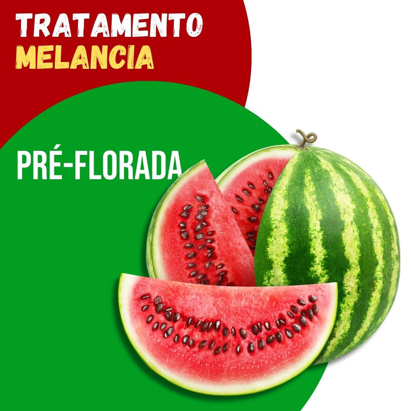 Tratamento para Melancia: Pré-Florada