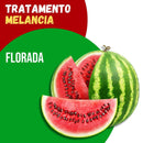 Tratamento para Melancia: Florada