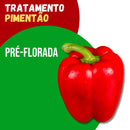 Tratamento para Pimentão: Pré-Florada