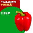 Tratamento Para Pimentão: Florada