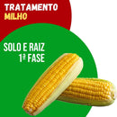 Tratamento Para Milho: Solo e Raiz 1ª Fase