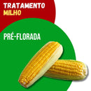 Tratamento para Milho: Pré-Florada