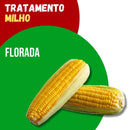 Tratamento Para Milho: Florada