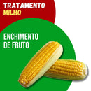 Tratamento Para Milho: Enchimento da Espiga