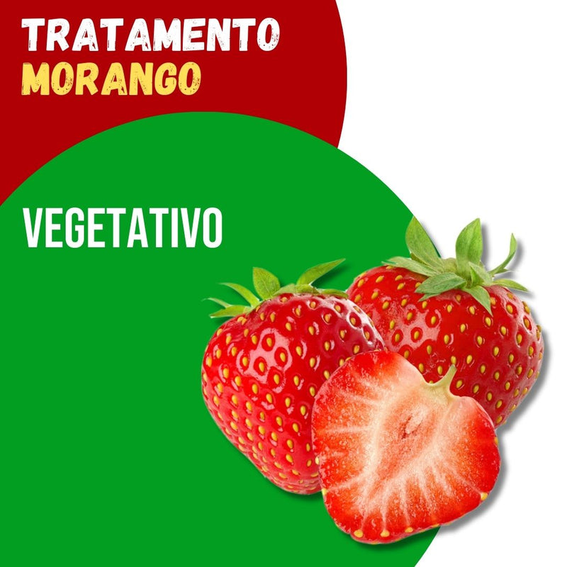 Tratamento Para Morango: Vegetativo