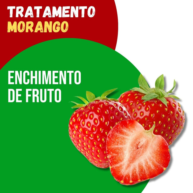 Tratamento Para Morango: Enchimento de Fruto