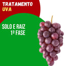 Tratamento Para Uva: Solo e Raiz 1ª Fase