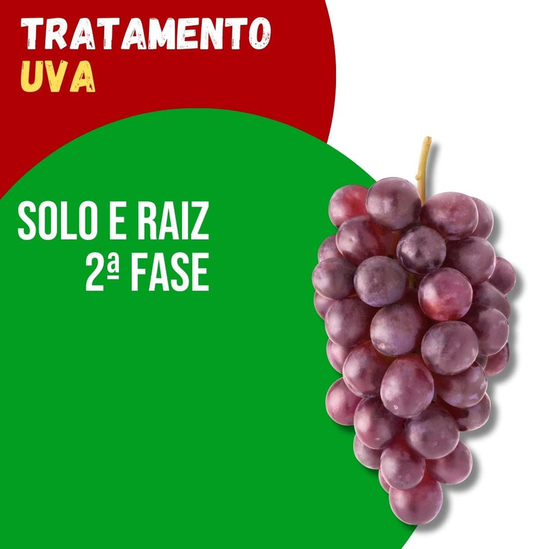 Tratamento Para Uva: Solo e Raiz 2ª Fase