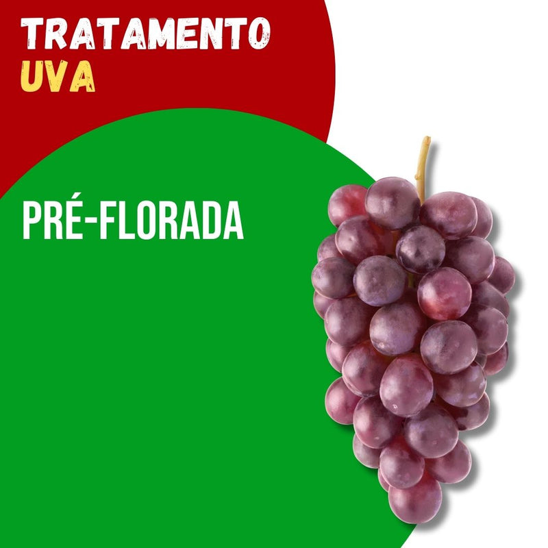 Tratamento para Uva: Pré-Florada