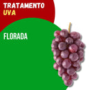 Tratamento Para Uva: Florada