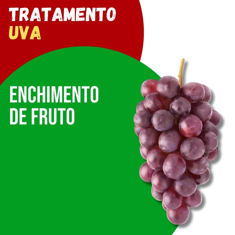 Tratamento Para Uva: Enchimento de Fruto