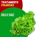 Tratamento Para Folhosas: Solo e Raiz
