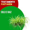 Tratamento Para Pastagem: Solo e Raiz