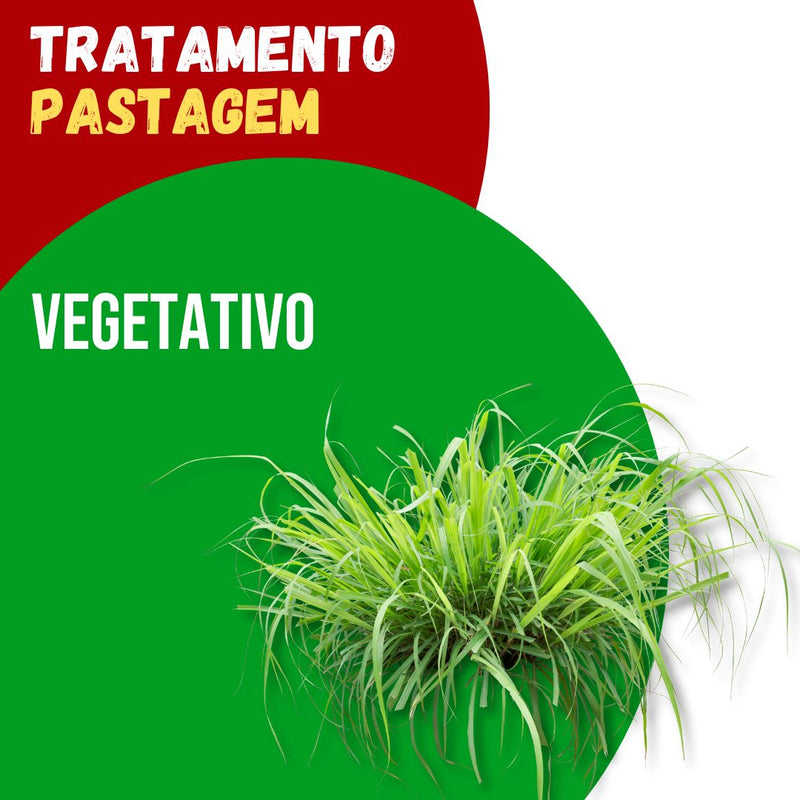 Tratamento Para Pastagem: Vegetativo