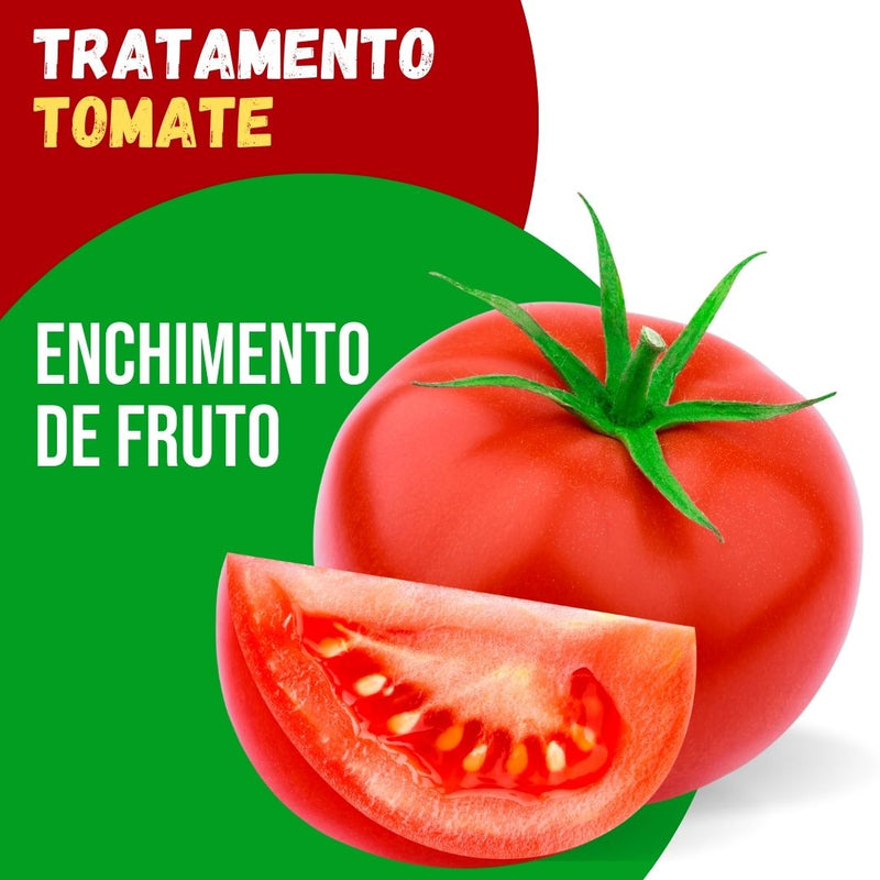 Tratamento Para Tomate: Enchimento de Fruto