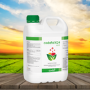 Codafol K24 05 LT