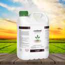 Codasal Premium 05 LT