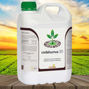 Tratamento Para Tomate: Solo e Raiz 1ª Fase