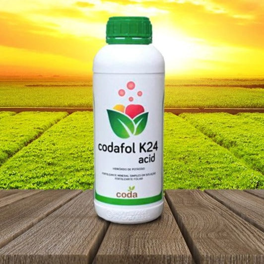 Codafol K24 01 LT