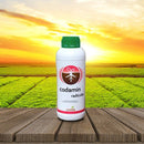 Codamin Radicular 01 LT