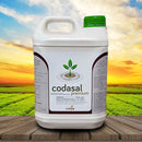 Codasal Premium 05 LT