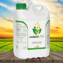 Codafol P54 05 LT