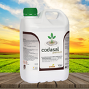 Tratamento Para Tomate: Enchimento de Fruto