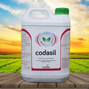 Codasil 05 LT